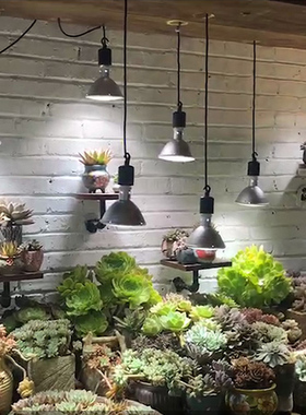 多肉金卤灯ledk全光谱仿太阳上色鱼缸水草模拟阳光室内植物补光灯