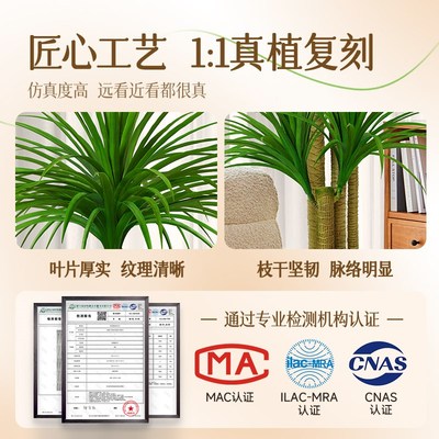 仿真绿植高级感客厅龙血树高端轻奢装饰树假植物室内大型盆栽摆件