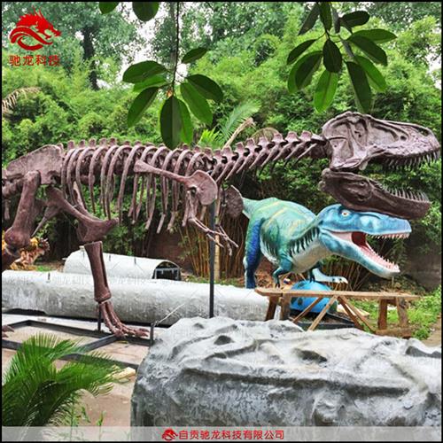恐龙仿真骨架霸王龙牛龙化石模型大型动物骨骼标本定做厂家