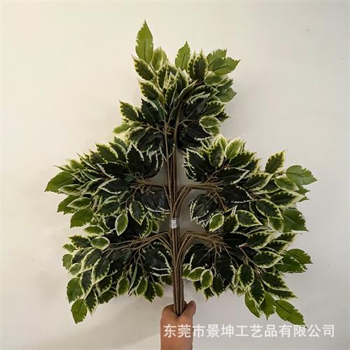 仿真榕树叶仿真尖嘴白边榕叶叉高仿人造假榕树叶植物墙绿化插花
