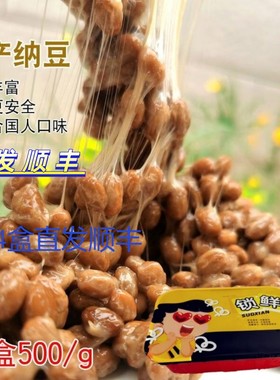 正纳豆国产纳豆 实惠装1斤装500g小粒即食加冰 包邮 健康纳豆拉丝