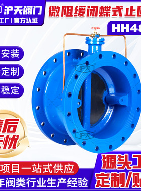 止回阀微阻缓闭蝶式止回阀缓闭式止回阀HH48X HH49X HH46X