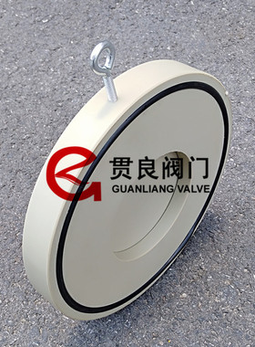 PP对夹式止回阀 FRPP对夹止回阀 PP板式单向阀/逆止阀DN50-DN300