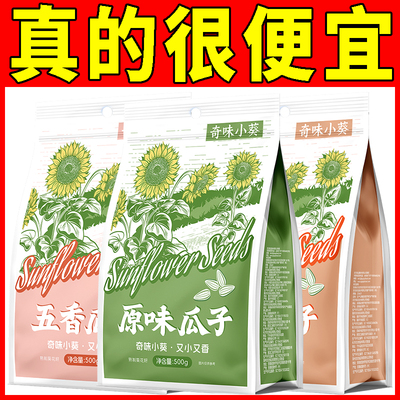 洽洽奇味小葵瓜子500g