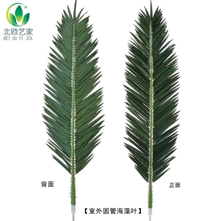 热销爆款仿真海藻叶保鲜棕榈树叶园林景观玻璃钢海藻树