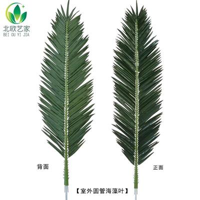 热销爆款仿真海藻叶保鲜棕榈树叶园林景观玻璃钢海藻树