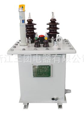 单相油浸式变压器D9-100KVA10/0.3KV单相户外柱上配电降压变压器