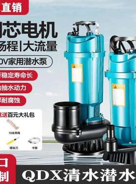 潜水泵220v高扬程抽水泵农用灌溉家用小型大流量抽水机全自动水泵