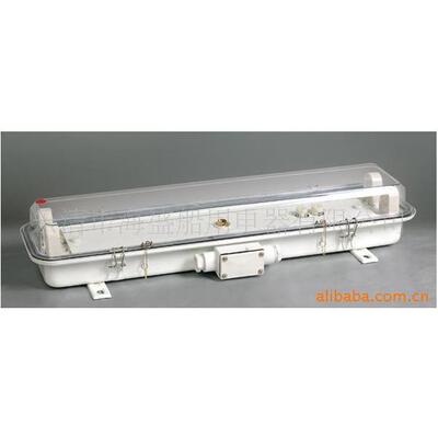 船用防水荧光舱顶灯JCY43-2EF双管2X40W(791877791867791887