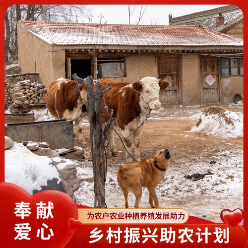 【日行一善】一元捐款 乡村振兴助农 牛羊蔬菜种植养殖 公益礼物