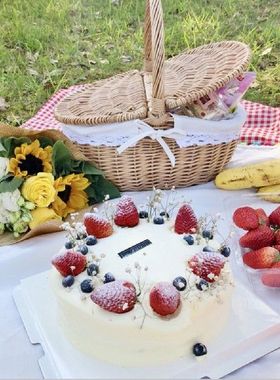 Camping Picnic Basket Handmade Wicker Basket Hand Made