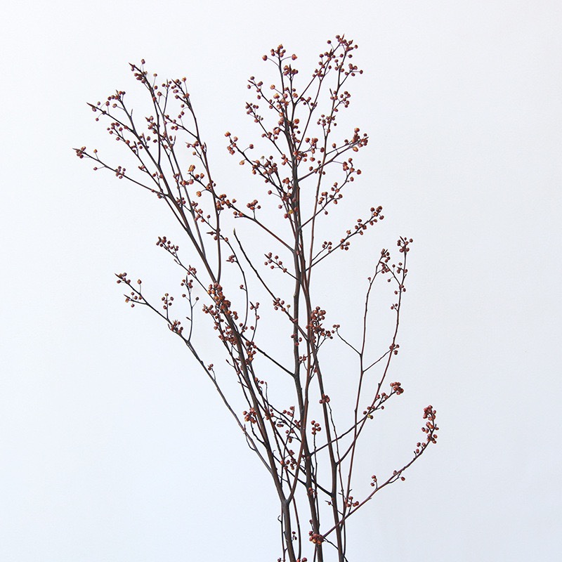 狂想厂家永生灯台树枝中式插花干树枝带果干花家居装饰