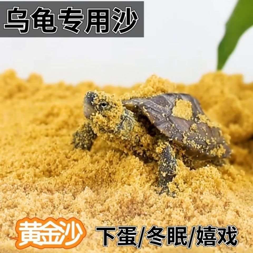 乌龟产蛋沙下蛋鱼缸底砂爬虫沙蜥蜴守宫爬宠蜗牛冬眠细专用沙子