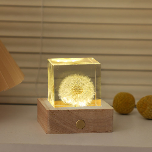 蒲公英标本立方体植物树脂摆件