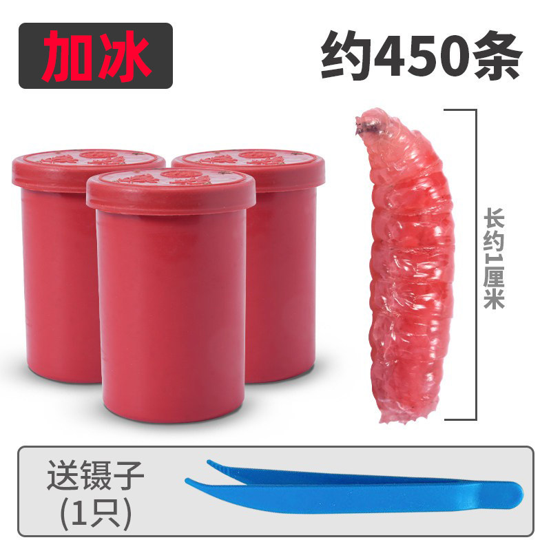 鲜活红蛆虫活饵户外野钓饵料