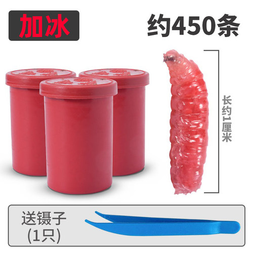 鲜活红蛆虫活饵户外野钓饵料