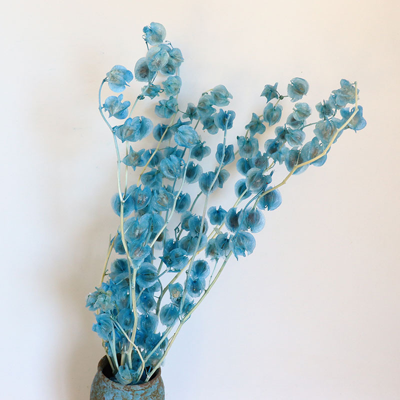 【永生灯笼果】干花造型布置空间陈列橱窗设计软装花材厂家