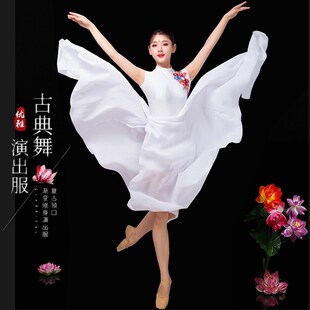 古典舞演出服飘逸中国风仙女独舞蹈青春时尚红长裙现代舞大合唱女