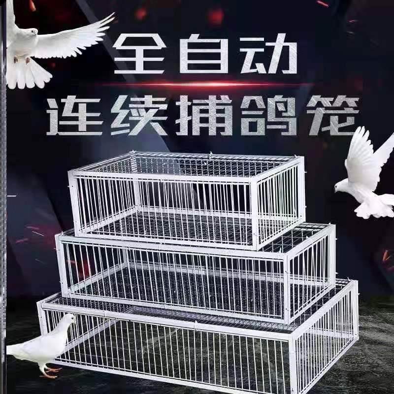 极速逮捕抓野鸽子神器天落只进不出全自动野外户外收鸽笼陷阱撞门