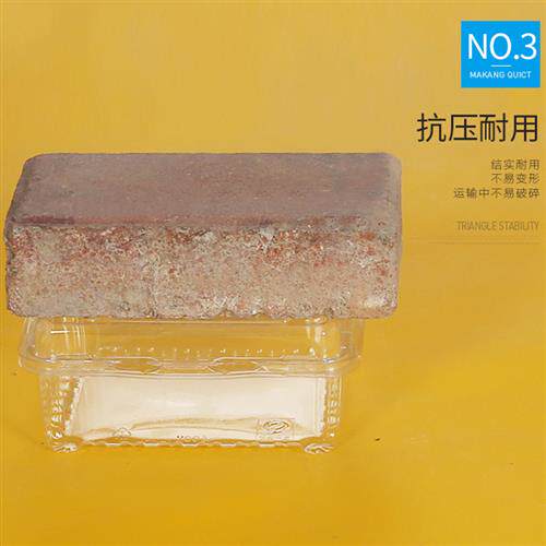 极速一次性透明塑料西点盒烘培包装盒寿司糕点盒子蛋糕卷包装盒长