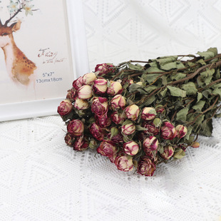 云南直发多头玫瑰干花 真花自然风干花束 森系多头玫瑰拍摄道具