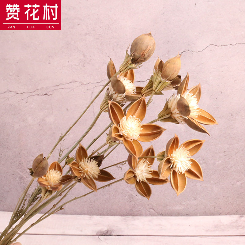 【赞花村】云南干花花束木莲花 家庭家装家饰红贵人粘接花