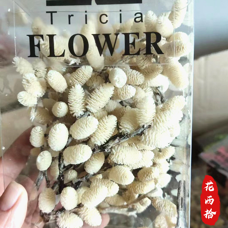 永生桑葚果干花 盒装桑葚果天然干花diy配材拍摄道具干花