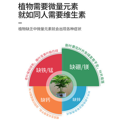 文竹专用营养液花肥水培植物通用转运竹治黄叶家用盆栽通用液体肥