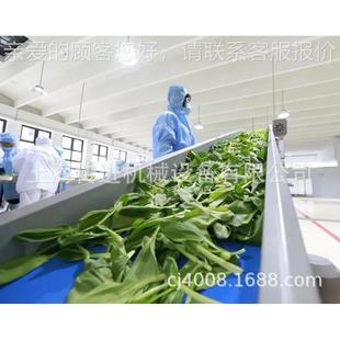 供应皮带输送机 茶叶输送 非标尺寸皮带输送机 免费设计图纸方案