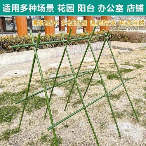 极速种菜架子豆角黄瓜爬藤架庭z院葡萄架包塑竹竿植物支架户外攀