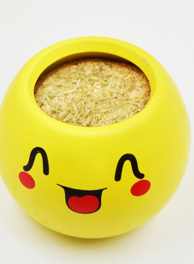 极速园艺种花办公室迷你植物盆栽绿色青陶瓷O植表情栽培长草头造