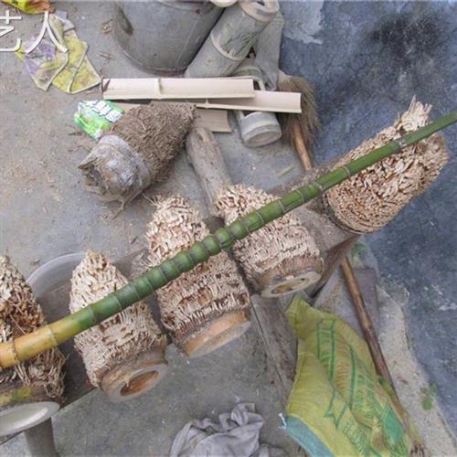 极速垫 茶竹竹壶隔热87804垫 老竹根大竹竹碗满钉鉢Y根茶根洗毛头