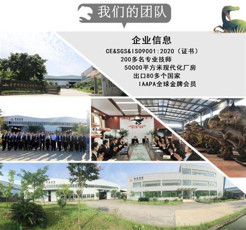 华龙龙工厂制作仿真恐龙机械模型景区游乐园商场活动引流利器.