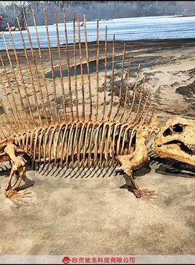 仿真异齿龙基龙骨架化石动物骨骼科普模型定制博物馆美陈展品