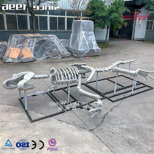 玻璃钢霸王龙化石骨架树脂混合材质商场中庭美陈自贡恐龙厂家