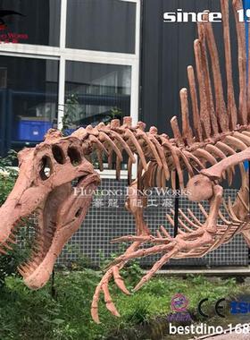 玻璃钢仿真棘龙化石骨架模型自贡源头厂家来图制作景区博物馆