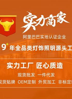 非标工程定制灯具轻奢别墅宴会厅大型商场酒店售楼部沙盘水晶吊灯