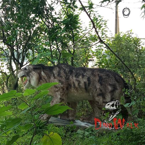 剑齿虎老虎猛兽仿真动物模型动态模型玩具厂家出租出售