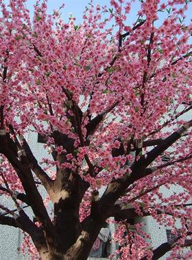 工厂直供仿真桃花树假桃花树各种仿真假树人造许愿树婚庆大树