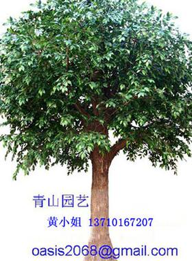 厂家供应大型仿真树服装店装饰用商场游乐场人造植物仿真榕树