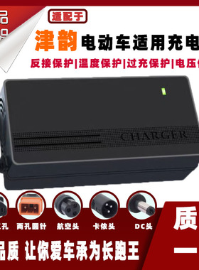 极速津韵电动车电瓶充电器48V12AH60V20AH72V3R2AH两孔锂电铅酸蓄