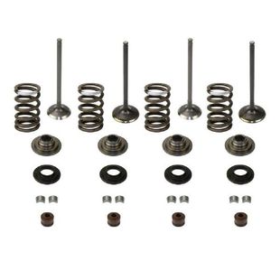 极速1set Iron Engine Inlet/Exhaust KiHts for 500CC Scooters