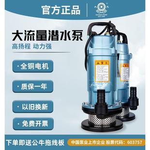 潜水泵家用井用水泵220V380V工业农用灌溉高扬程抽水泵抽水机 大元