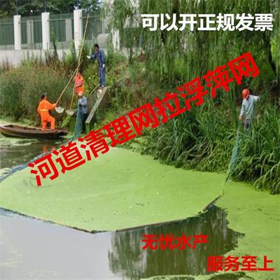 河道清理网 河道环为清理垃圾 青苔 拉浮萍网 打捞浮萍网 藕塘网
