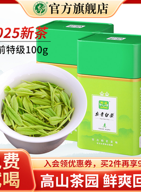 安吉白茶2025新茶特级明前绿茶吟诗茶叶官方旗舰店正品罐装春茶