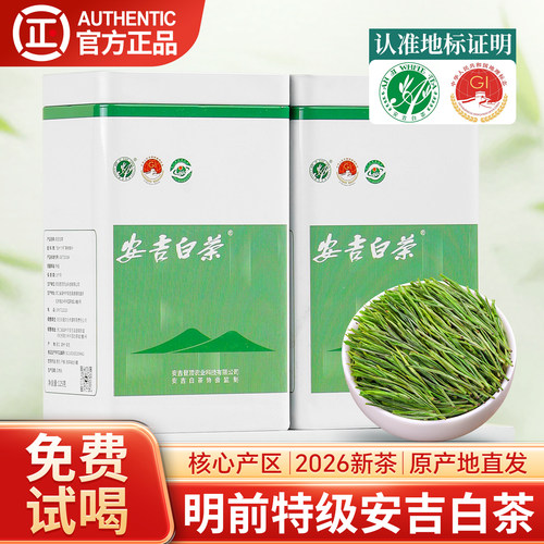 安吉白茶2026新茶特级浓香型250g