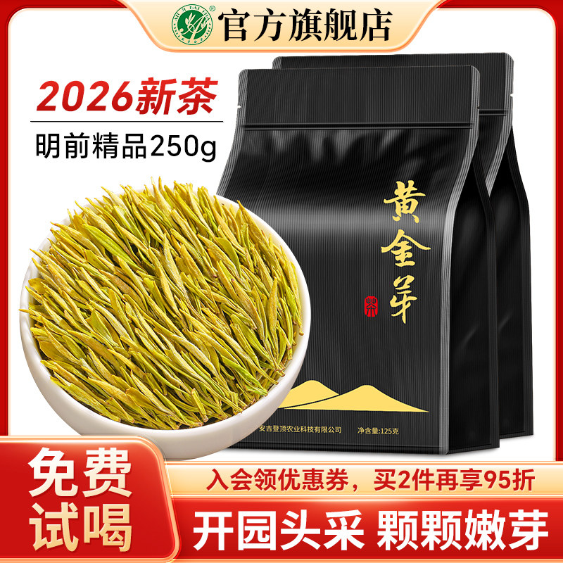 黄金芽茶叶2026新茶明前特级高山精品绿茶安吉白茶官方旗舰店250g