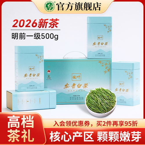 安吉白茶2026新茶明前礼盒装500g