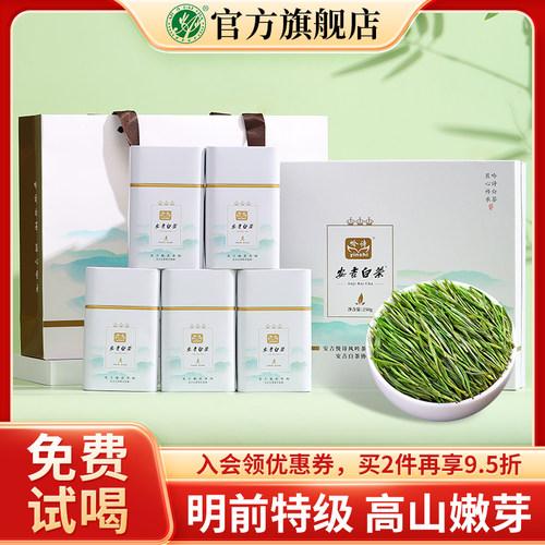 安吉白茶2025新茶高档礼盒装250g