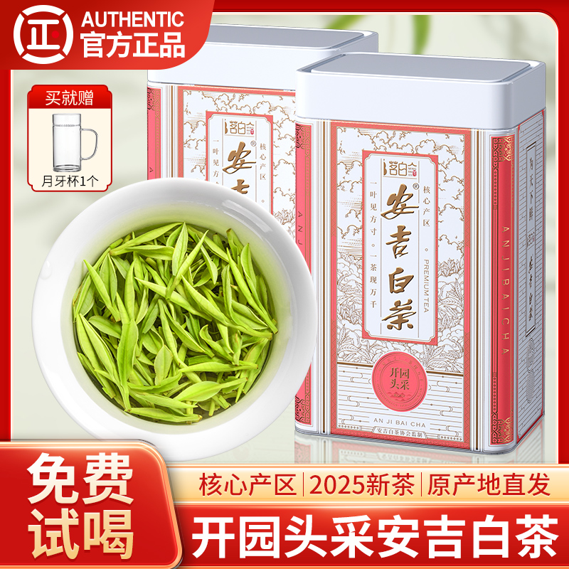 安吉白茶2025新茶正宗开园头采茶